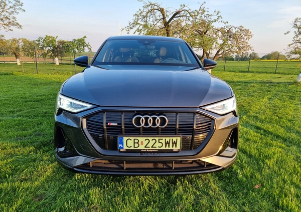 Audi e-tron cena 198500 przebieg: 90600, rok produkcji 2022 z Grudziądz małe 497